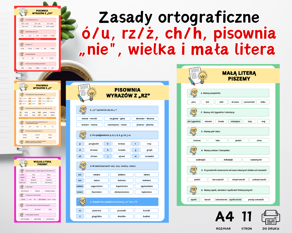 Zasady ortografii – zestaw 11 plansz zgodnych z reformą 2026 Zasady ortografii